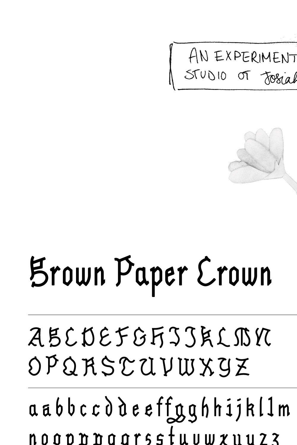 Brown Paper Crown - Display Font pinterest preview image.