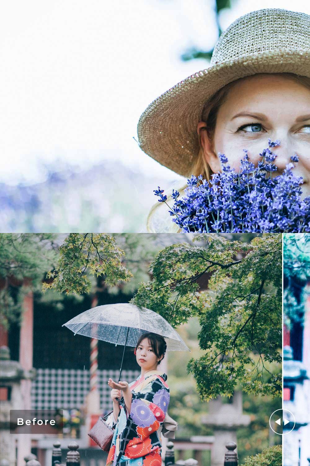 Bugloss Pro Lightroom Presets pinterest preview image.