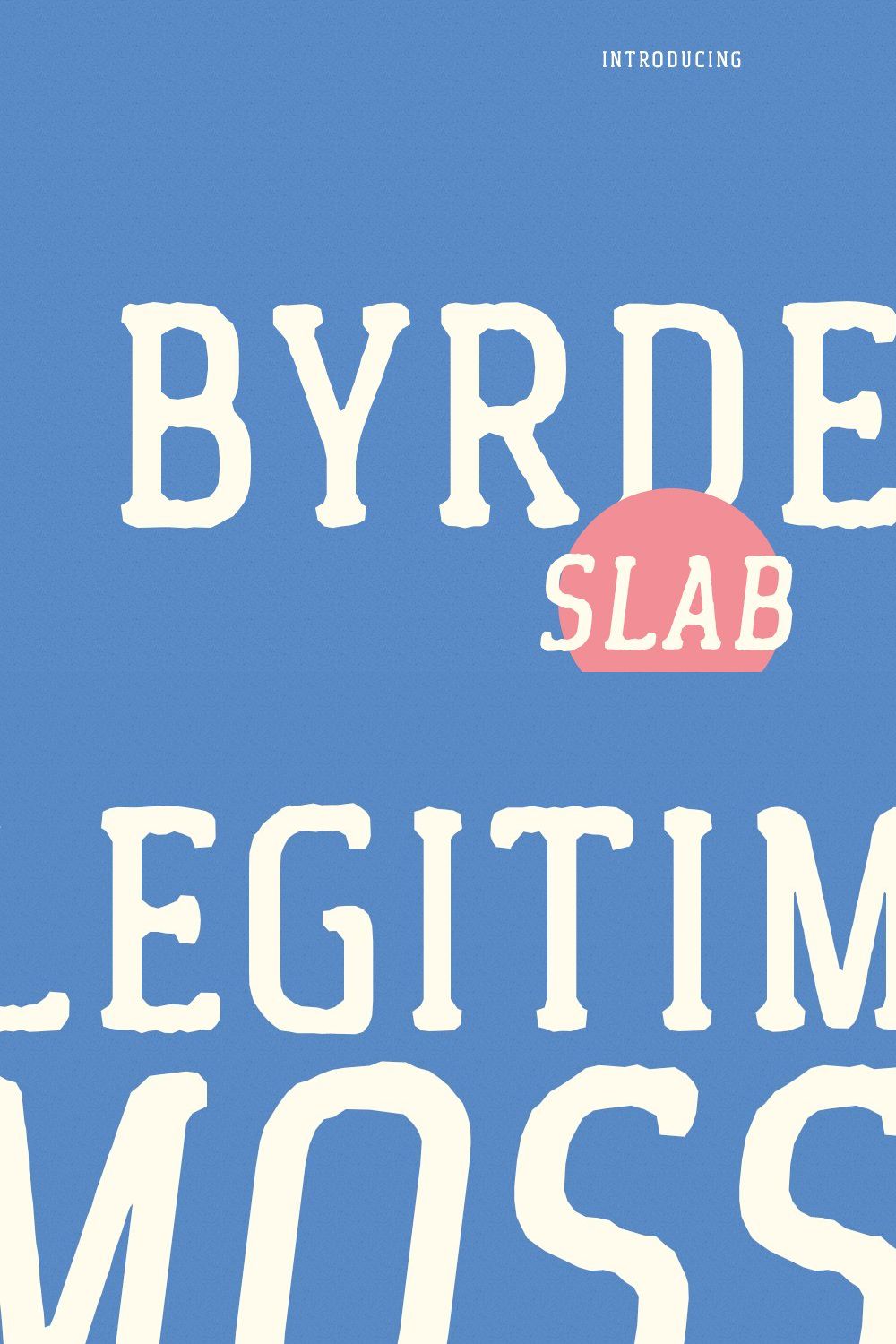 Byrdens Slab Serif Font pinterest preview image.