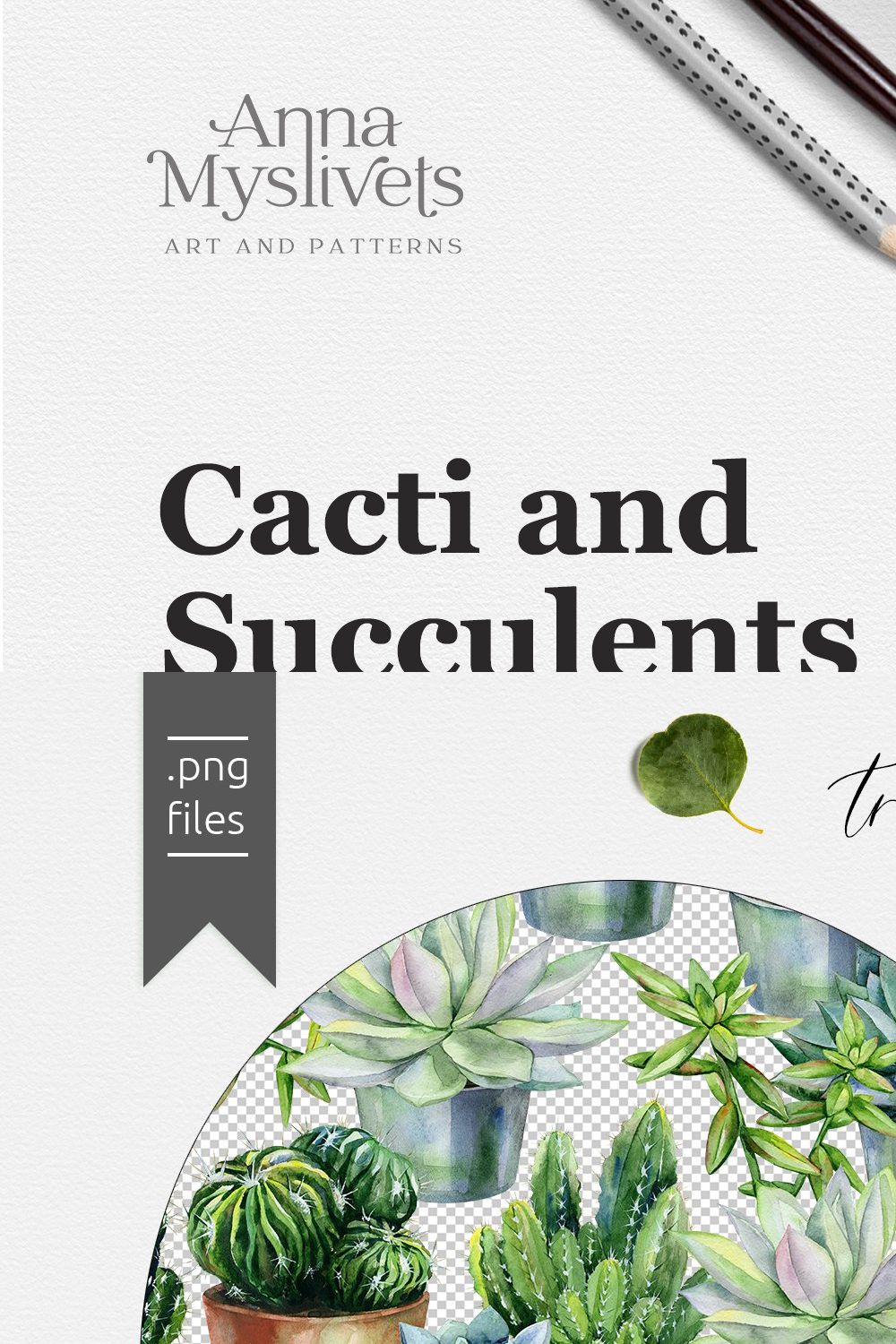 Cacti & Succulents pinterest preview image.