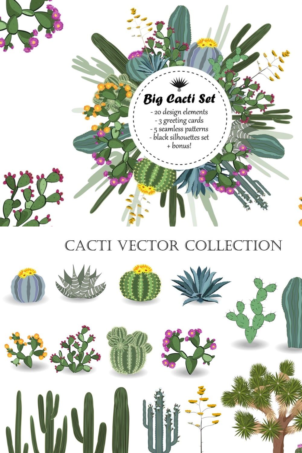 Cactus Collection pinterest preview image.