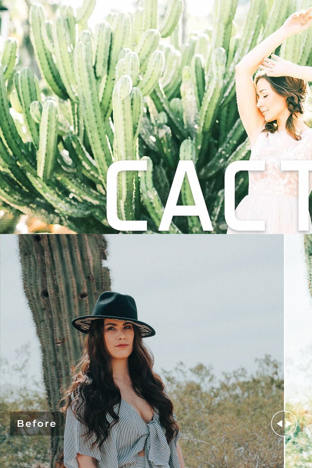 Cactus Pro Lightroom Presets pinterest preview image.