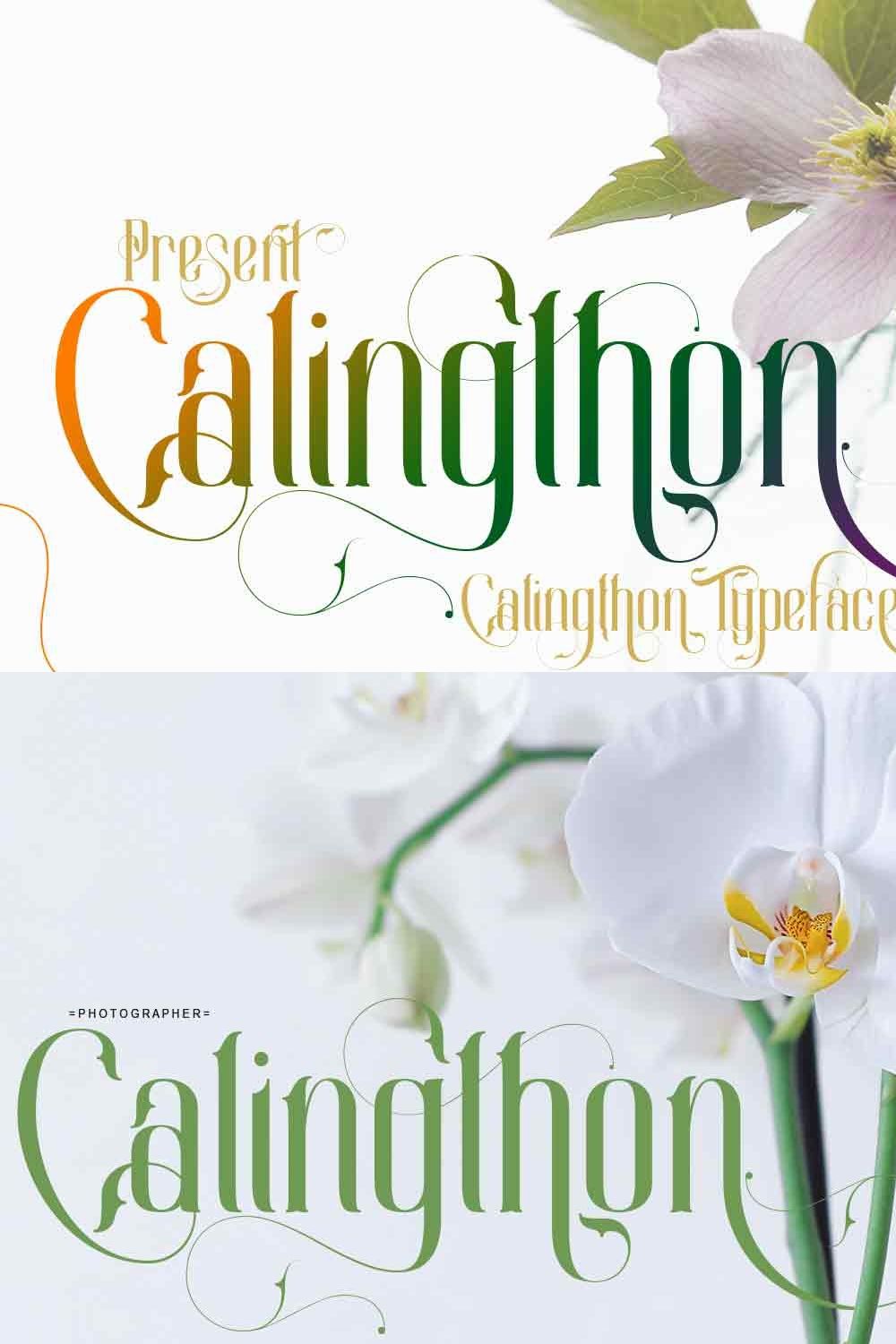 Calingthon pinterest preview image.