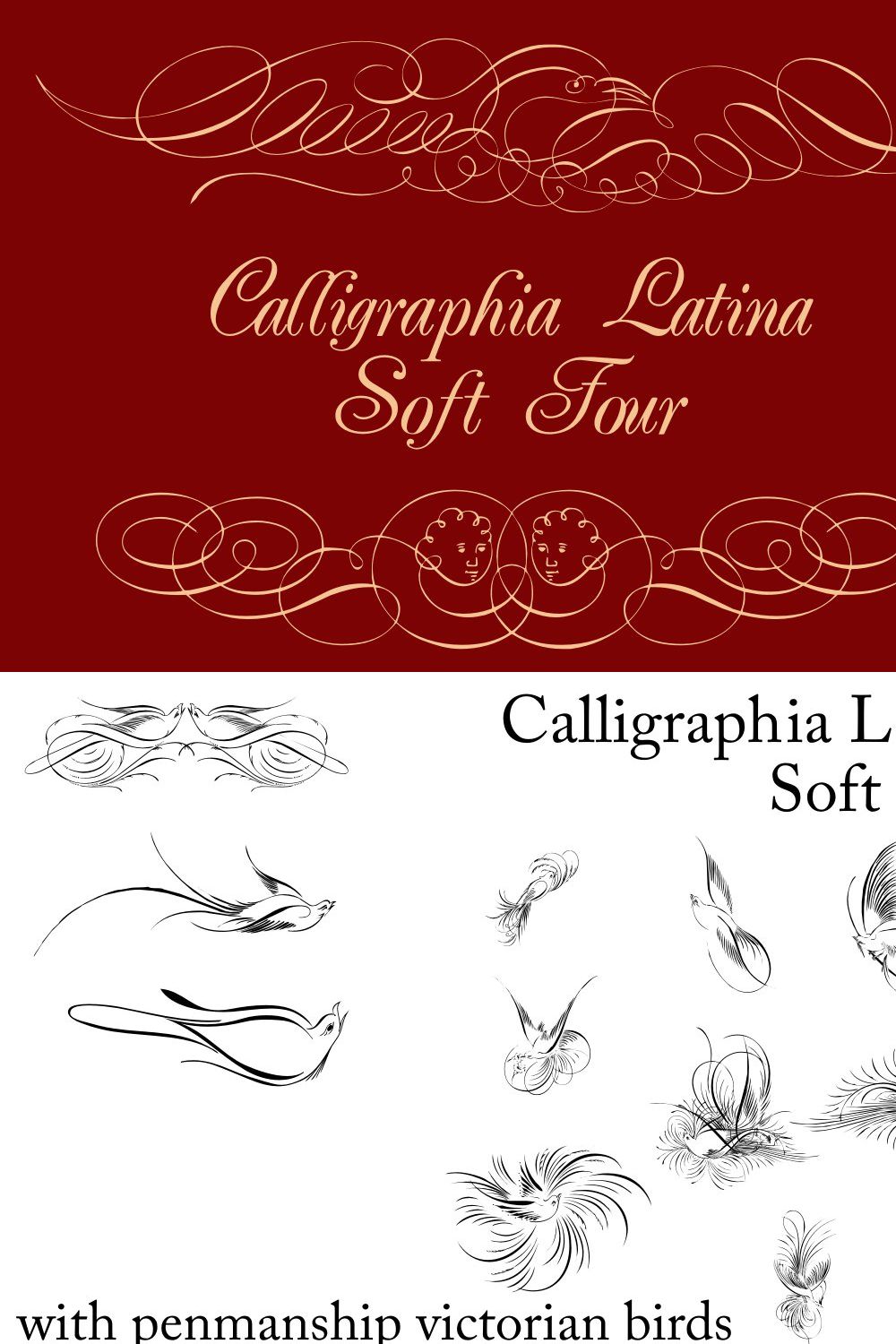 Calligraphia Latina Soft Four pinterest preview image.