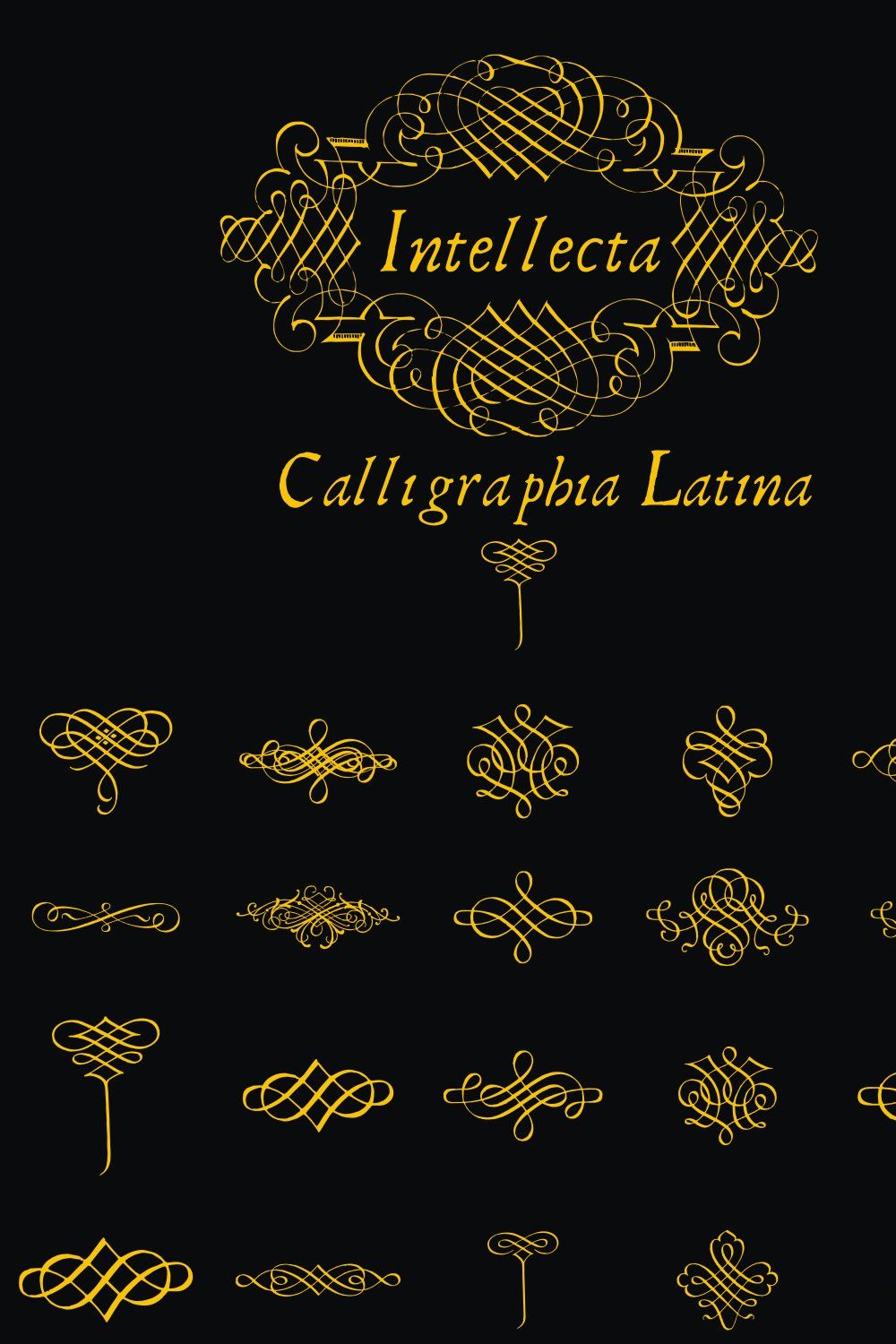 CalligraphiaLatina, ornaments pinterest preview image.