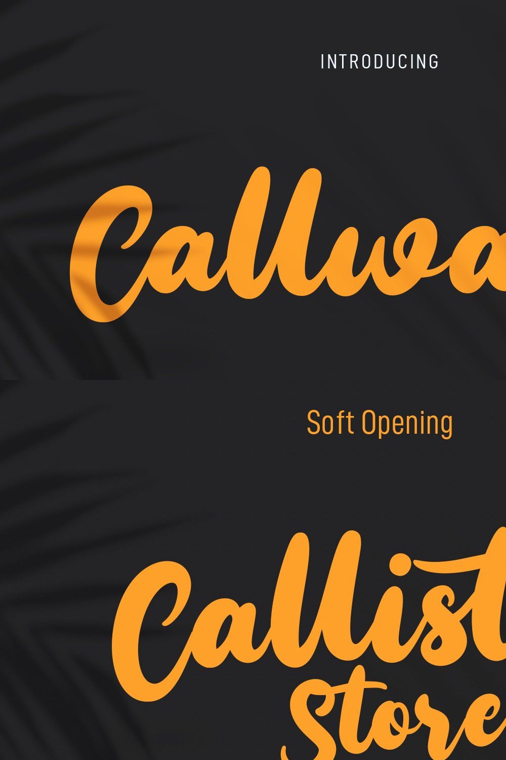 Callways Script Font pinterest preview image.