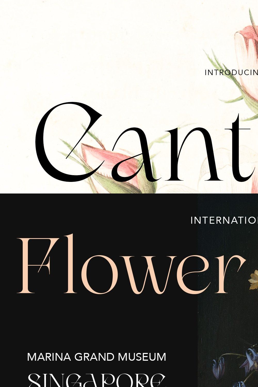 Canteria - Classic Display Serif pinterest preview image.