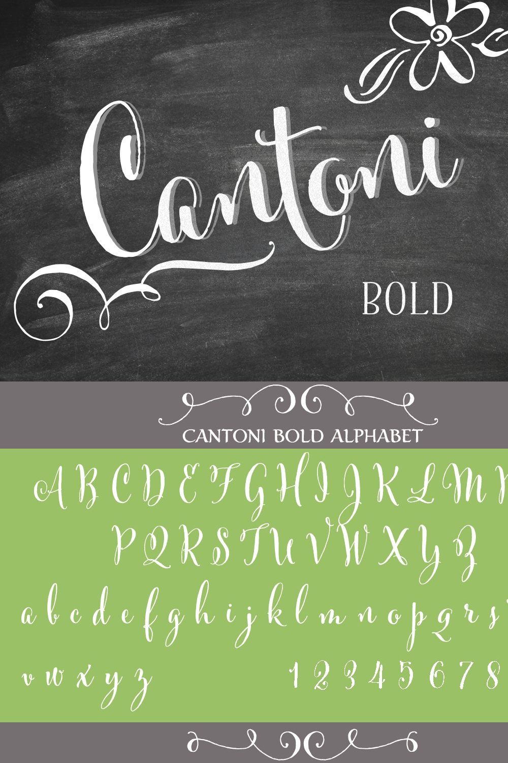 Cantoni Bold Font pinterest preview image.