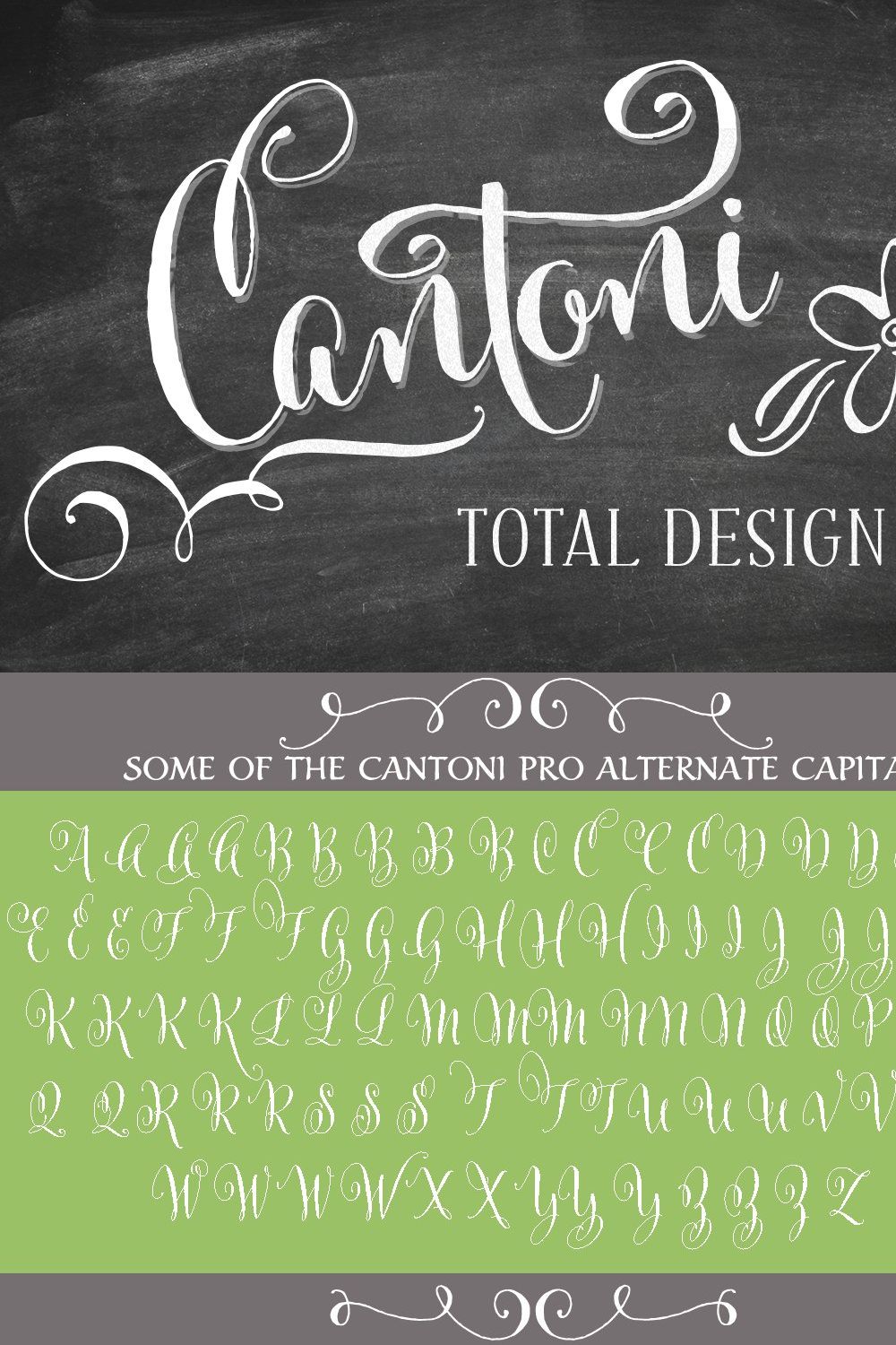 Cantoni Total Design Font pinterest preview image.