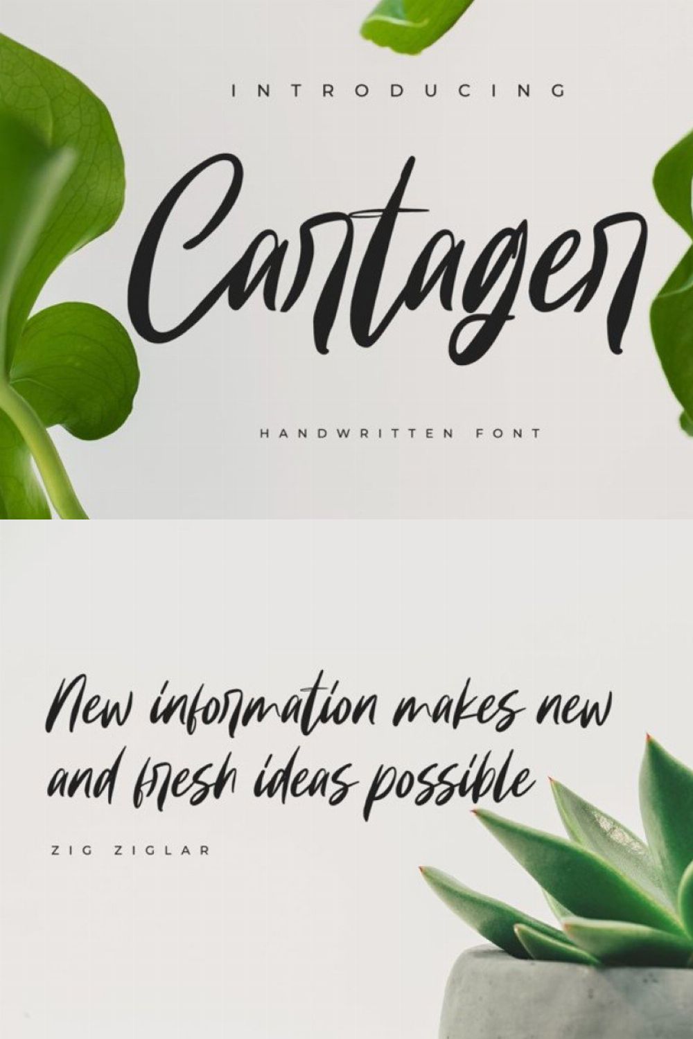 Cartager pinterest preview image.