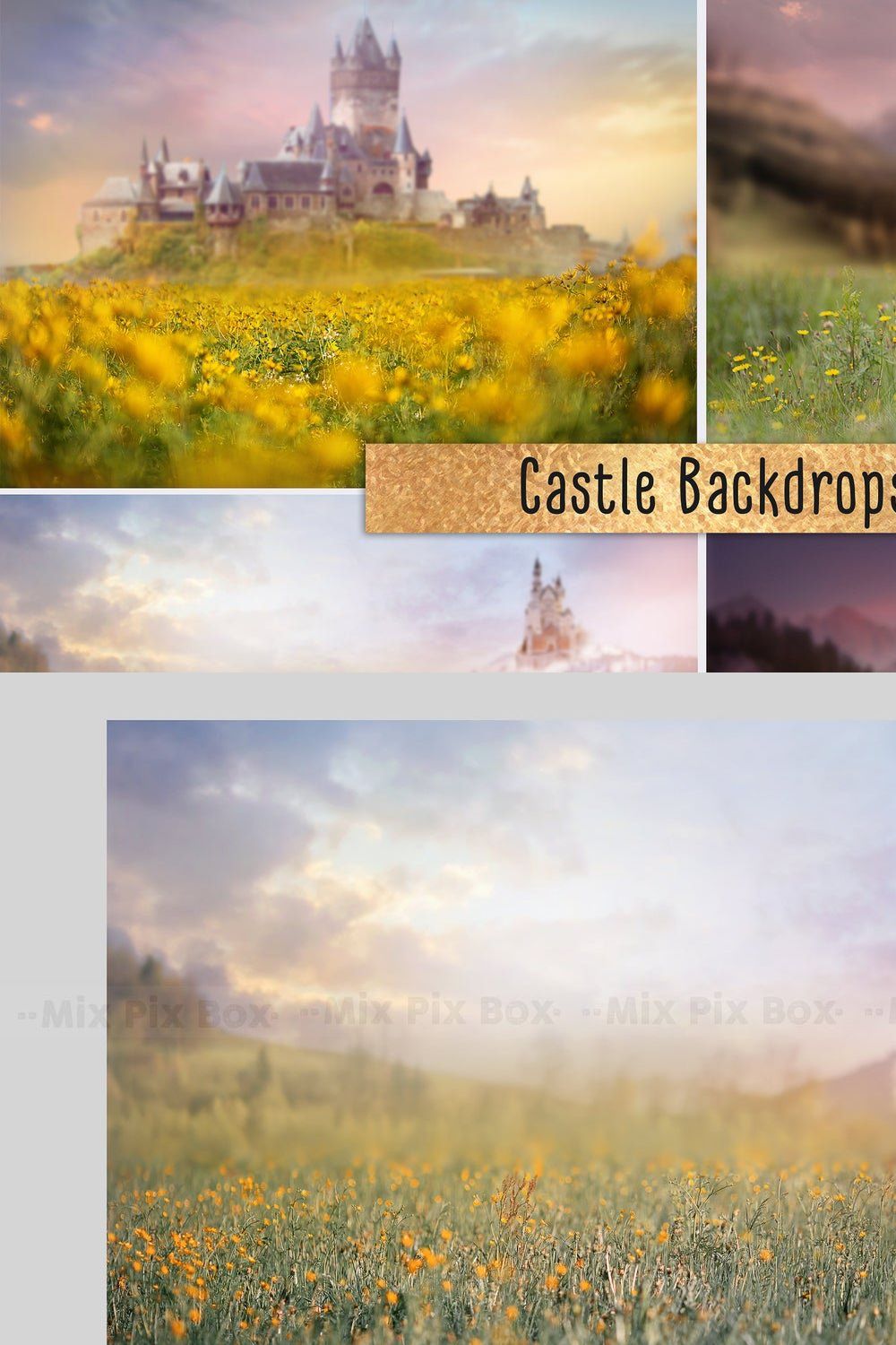 Castle backdrops pinterest preview image.