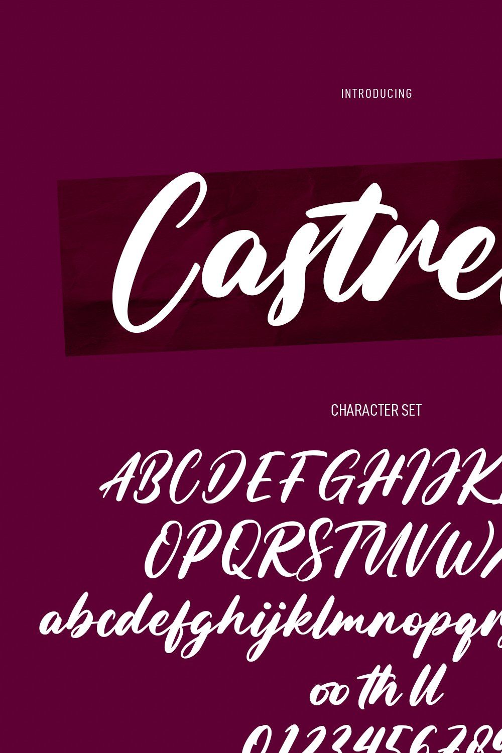 Castrela Handwritten Script Font pinterest preview image.