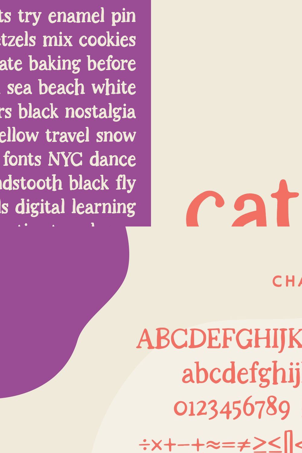 Catchphrase — A Fun Serif pinterest preview image.