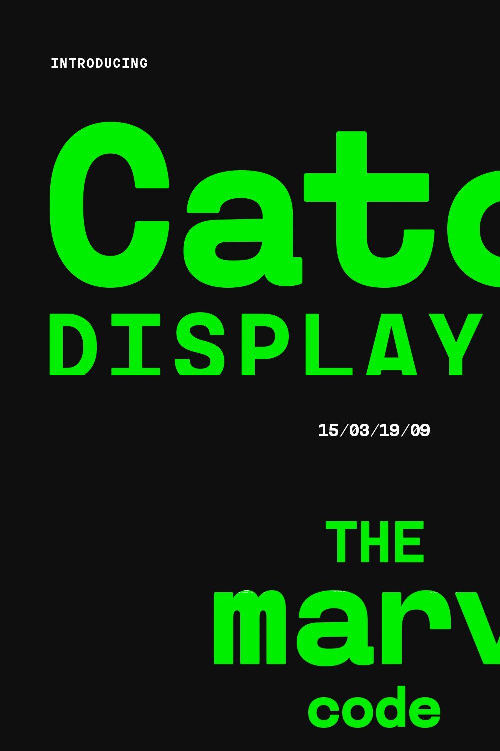 Catou Sans Serif Display Font pinterest preview image.