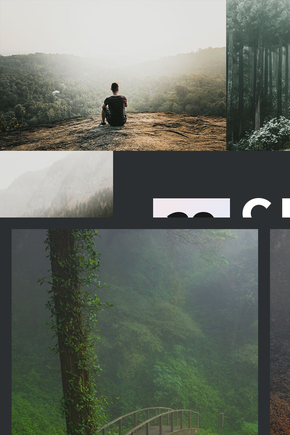 Cedar Lightroom Presets & LUTs pinterest preview image.