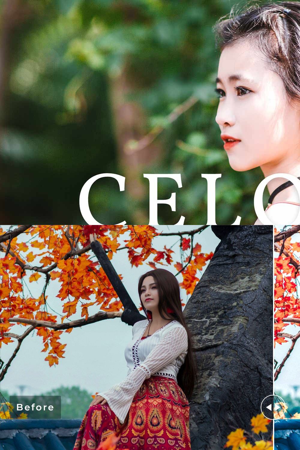 Celosia Pro Lightroom Presets pinterest preview image.