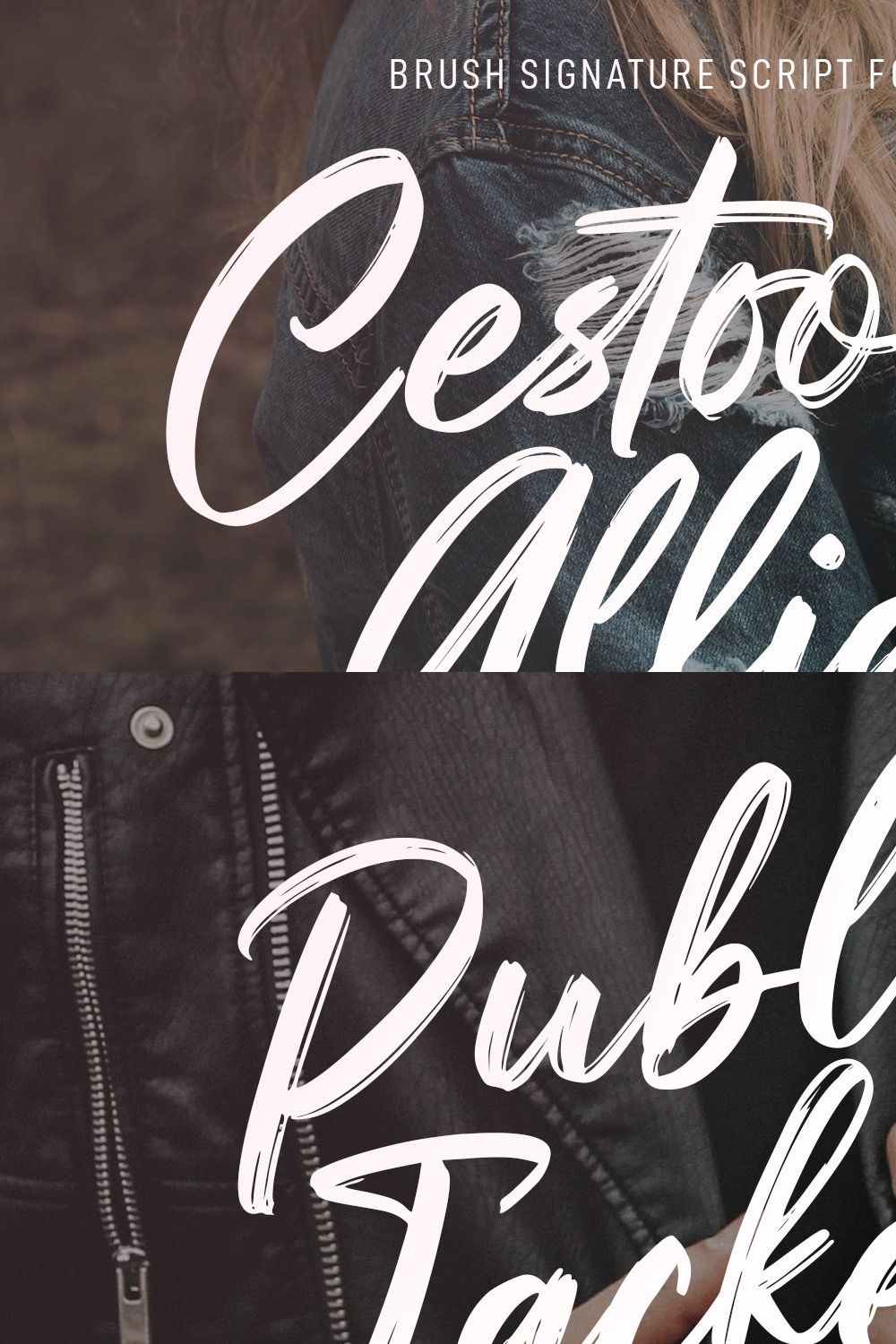 Cestoom Allia Brush Script Font pinterest preview image.