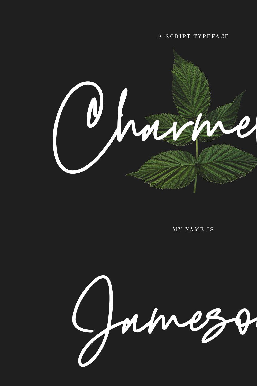 Charmeleon Script Typeface pinterest preview image.