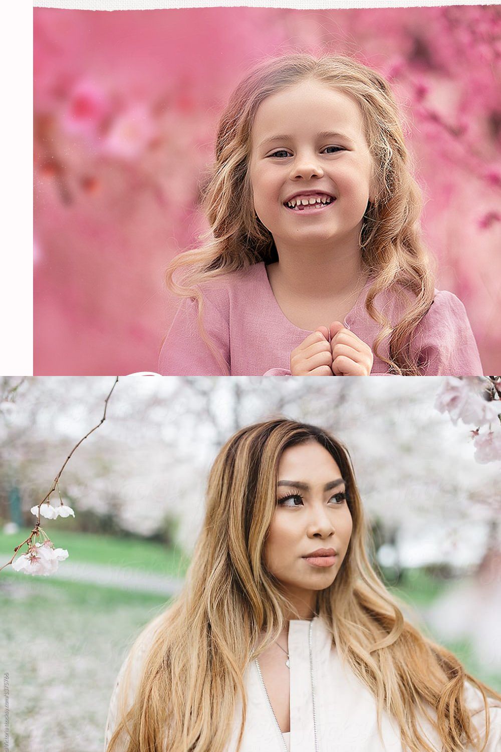 Cherry Blossom PNG photo overlays pinterest preview image.