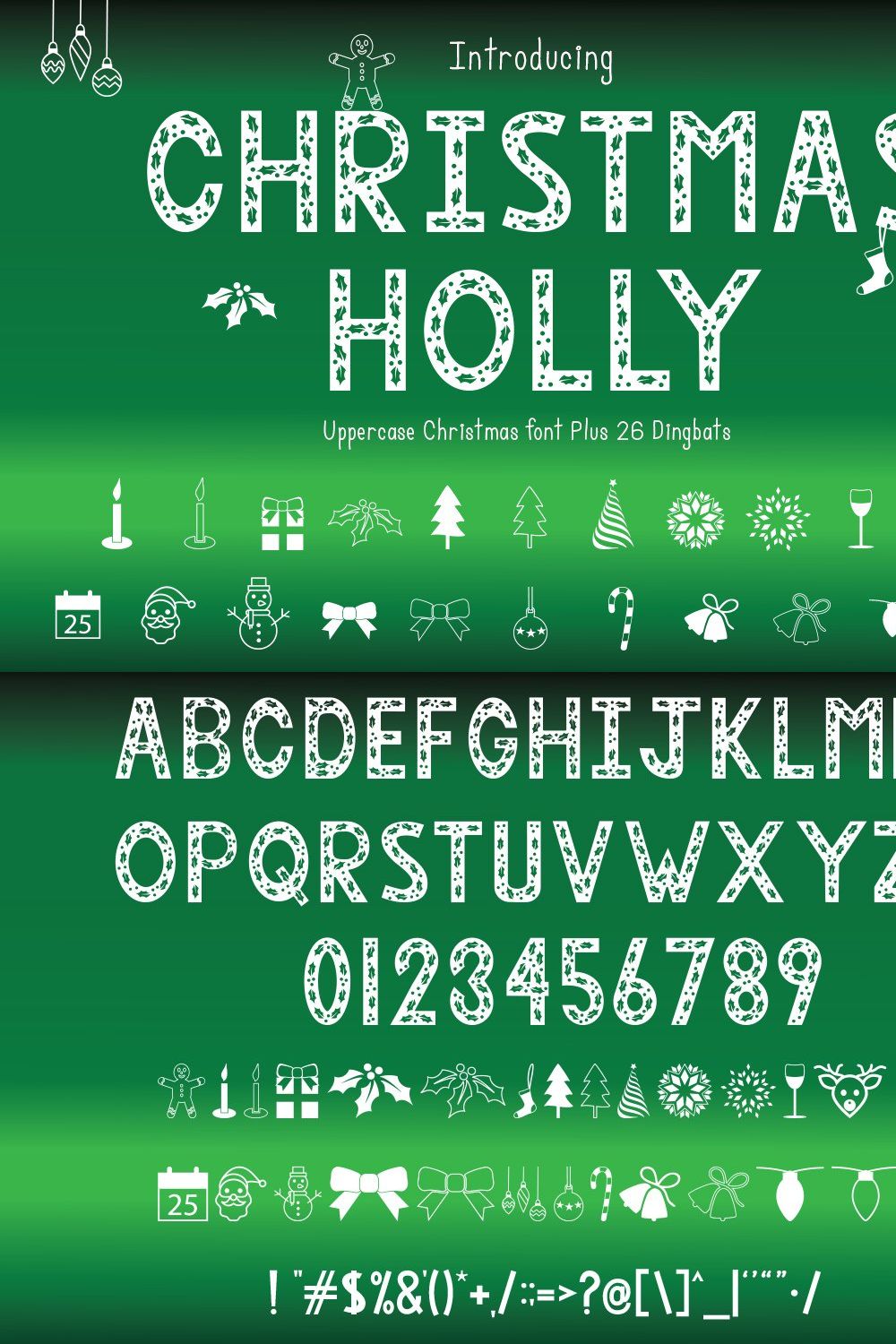 Christmas Holly - Font & Dingbats pinterest preview image.