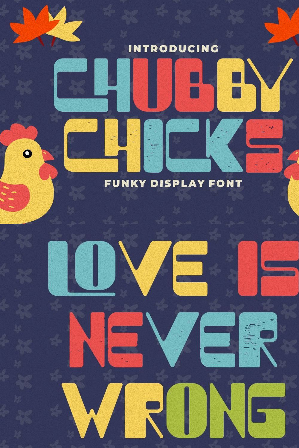 Chubby Chicks - Funky Display Font pinterest preview image.