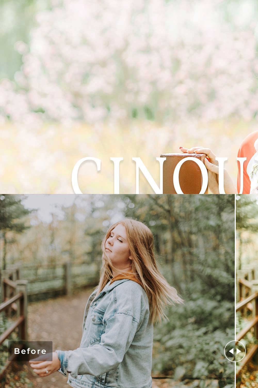 Cinquefoil Pro Lightroom Presets pinterest preview image.