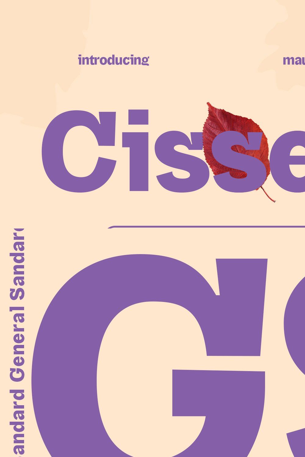 Cissele Display Font pinterest preview image.