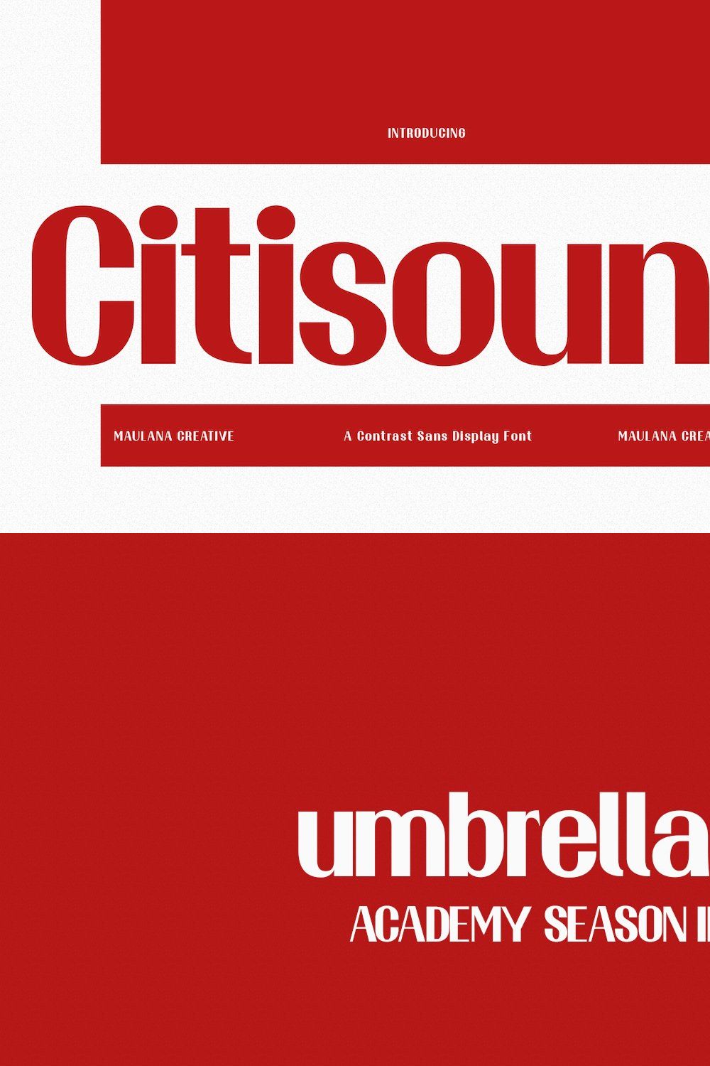 Citisound Contrast Sans Display Font pinterest preview image.