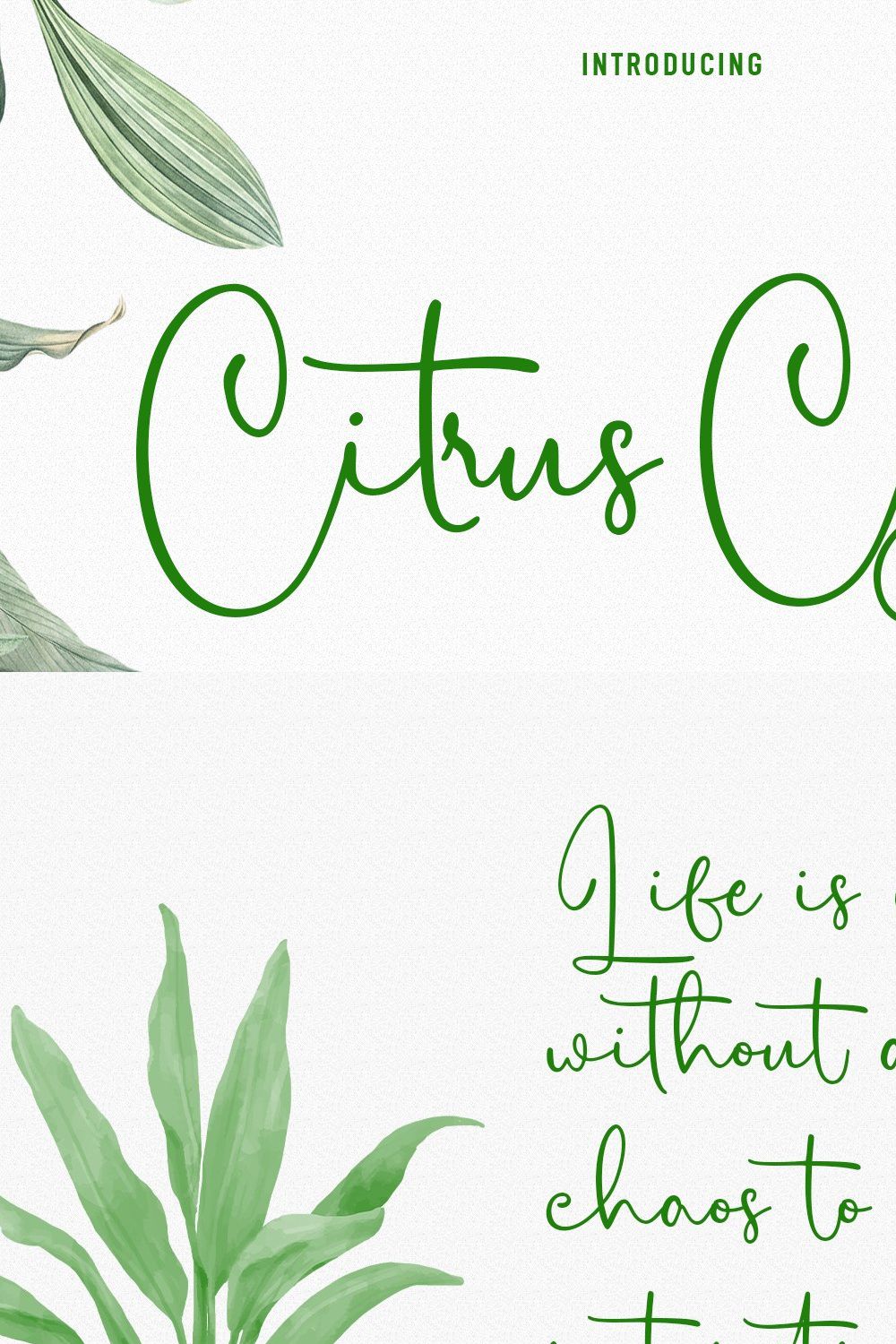 Citrus Cycle Script Font pinterest preview image.