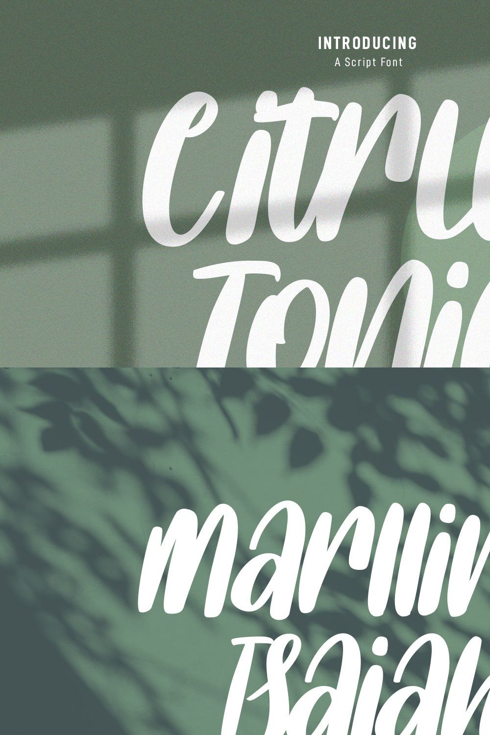 Citrus Tonic Handwritten Script Font pinterest preview image.