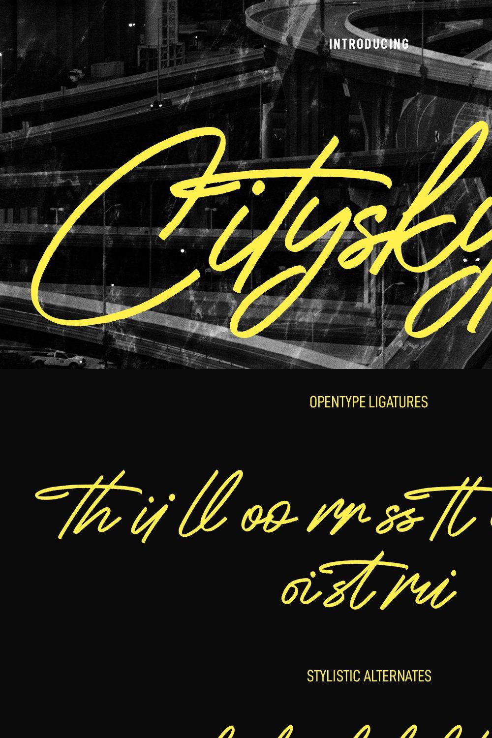 Cityskypes Signature Script Font pinterest preview image.