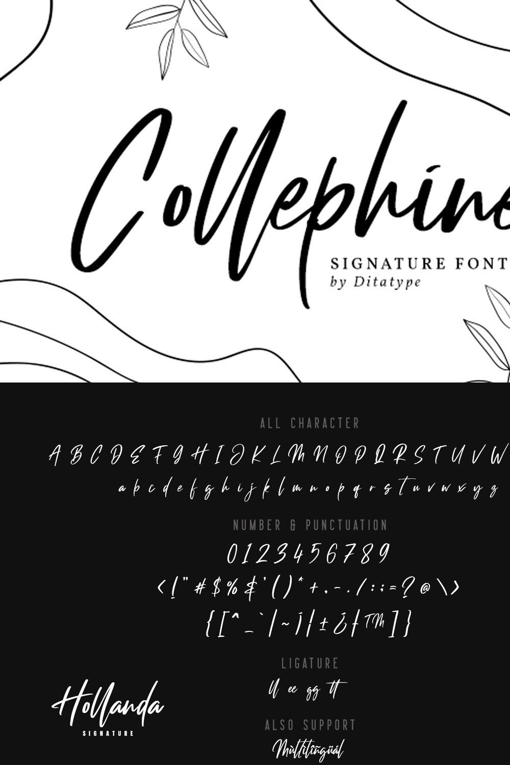 Collephine pinterest preview image.