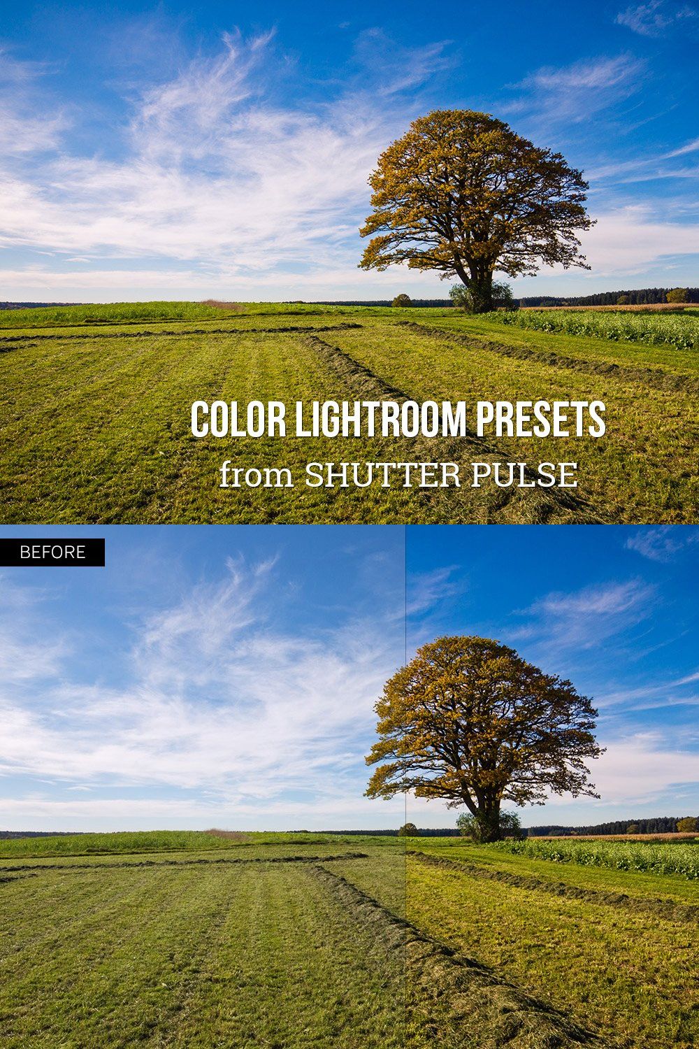 Color Lightroom Presets pinterest preview image.