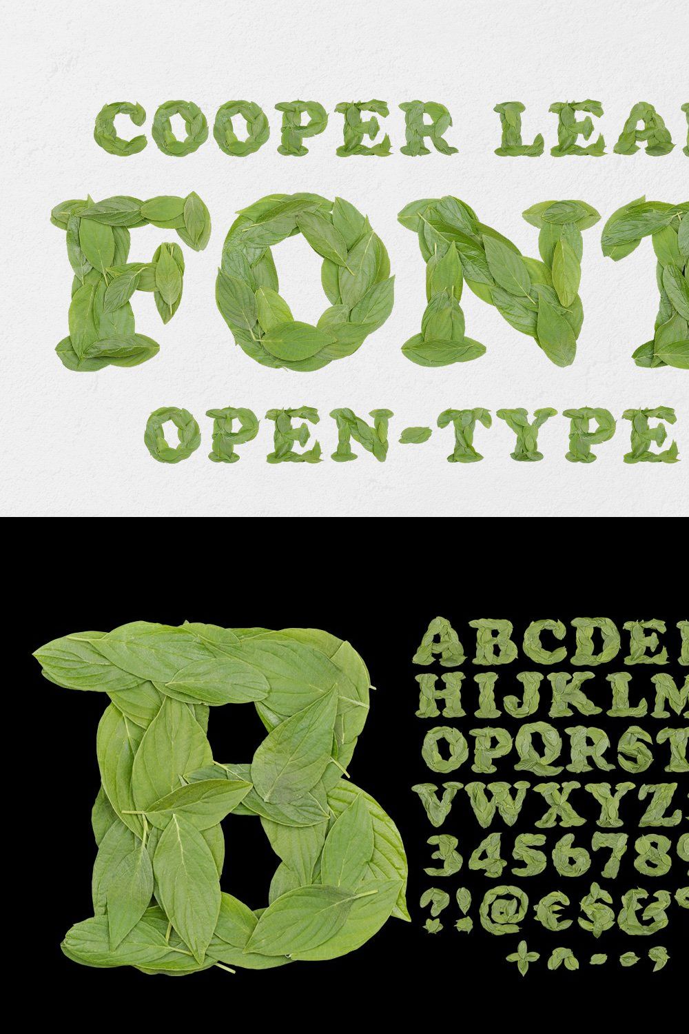 Cooper Leaf Font pinterest preview image.