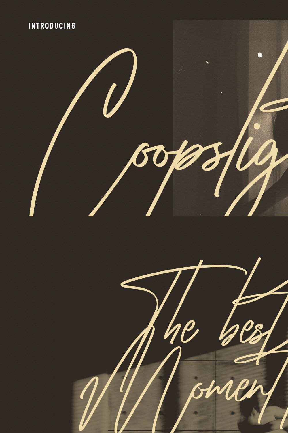 Coopslight Signature Script Font pinterest preview image.