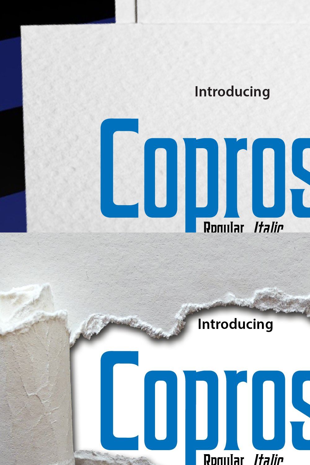 Coprost pinterest preview image.