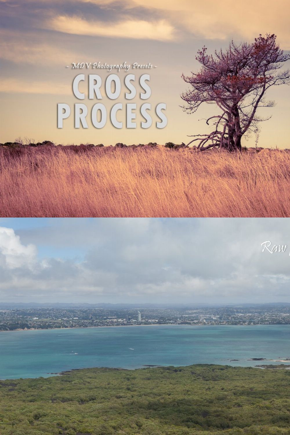 Cross Process - Lightroom presets pinterest preview image.