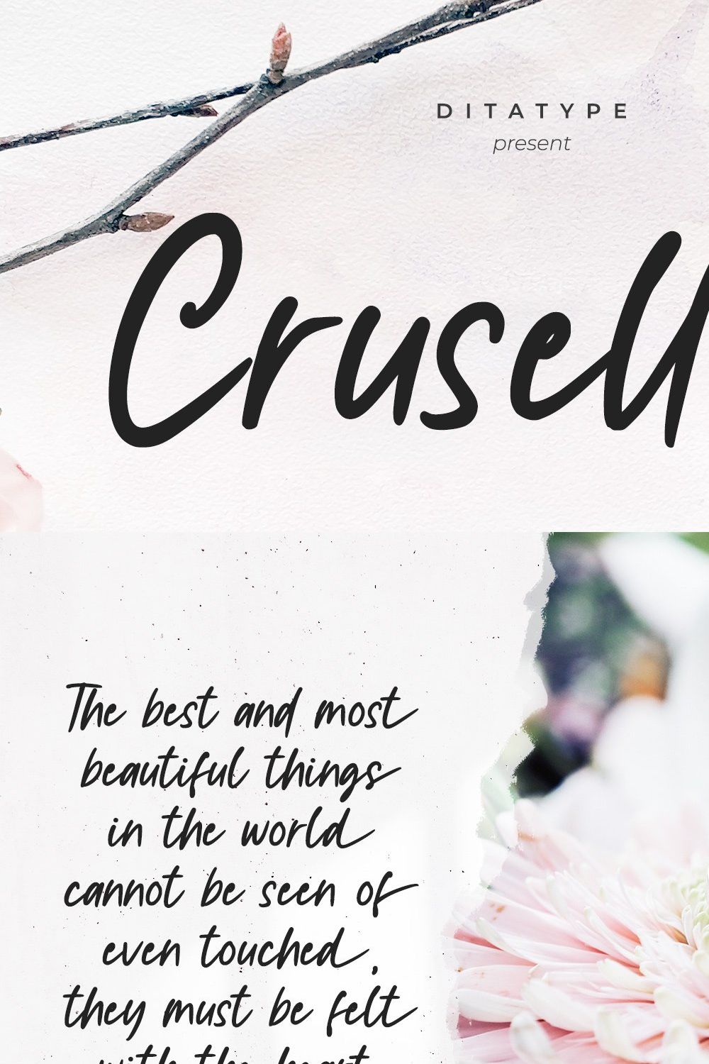 Crusselia pinterest preview image.