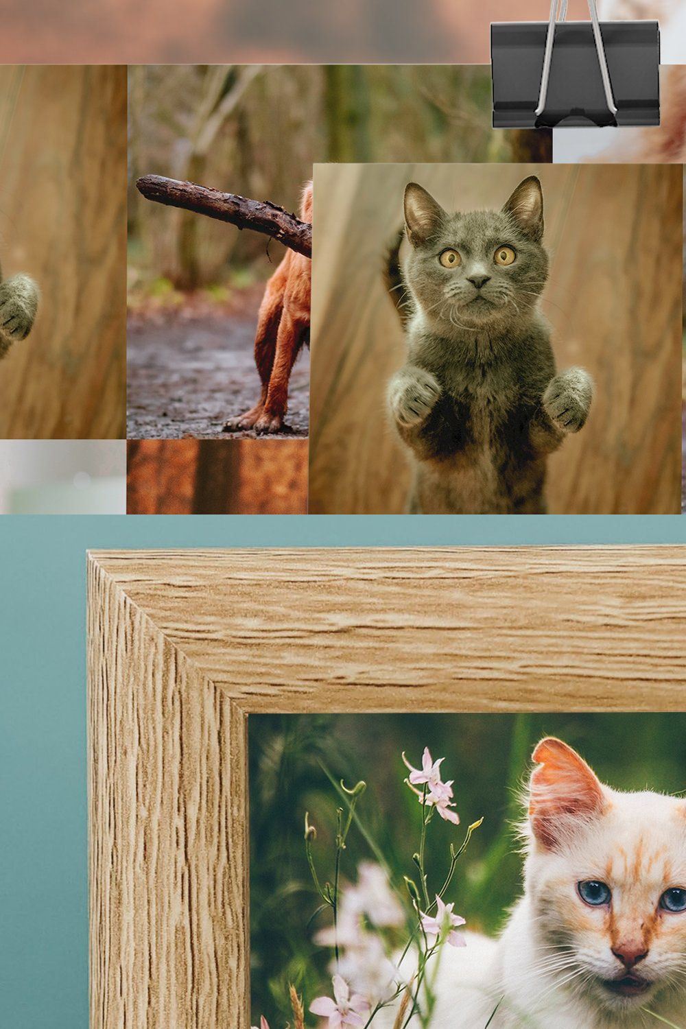 Cute Pets Lightroom Presets pinterest preview image.