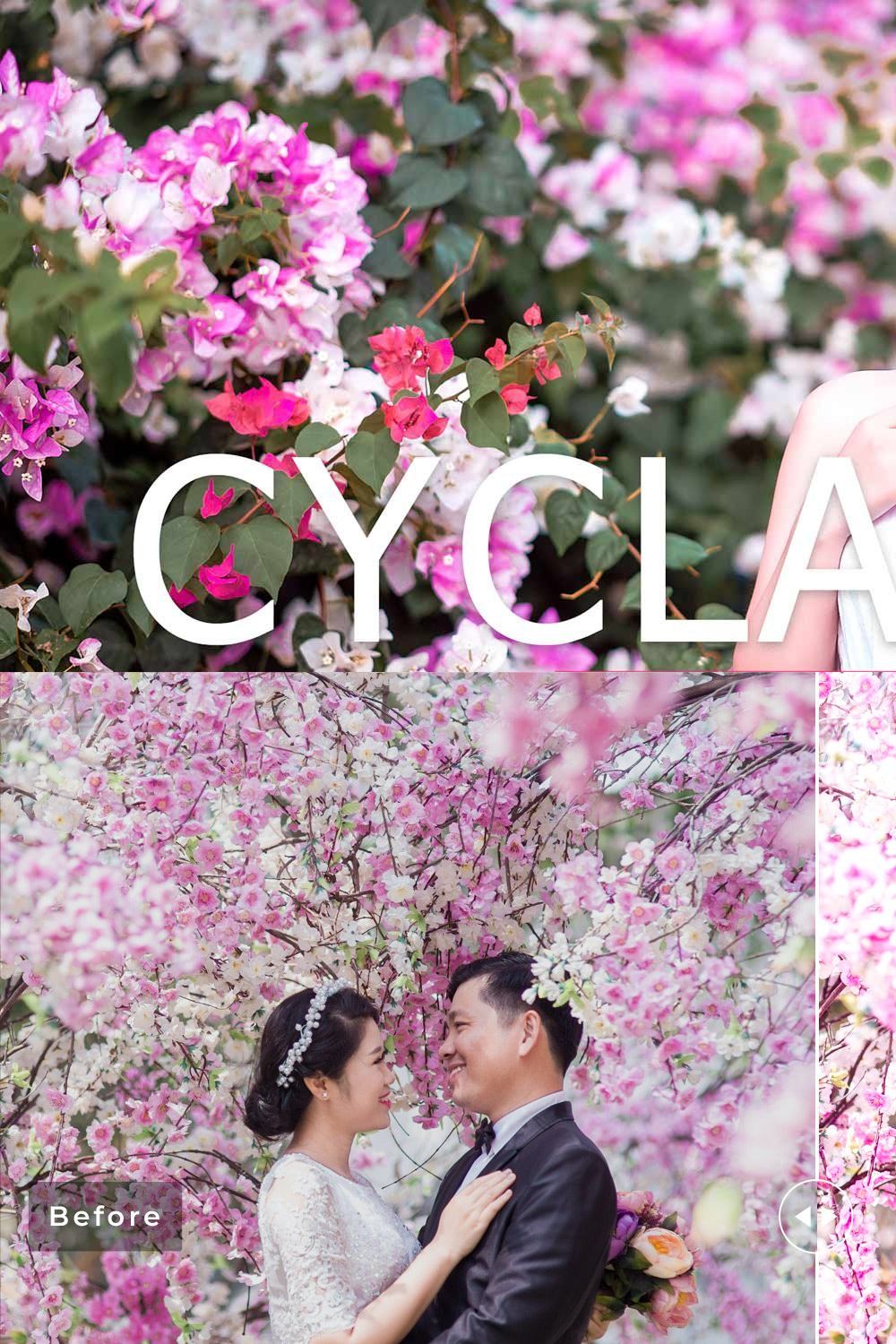 Cyclamen Pro Lightroom Presets pinterest preview image.