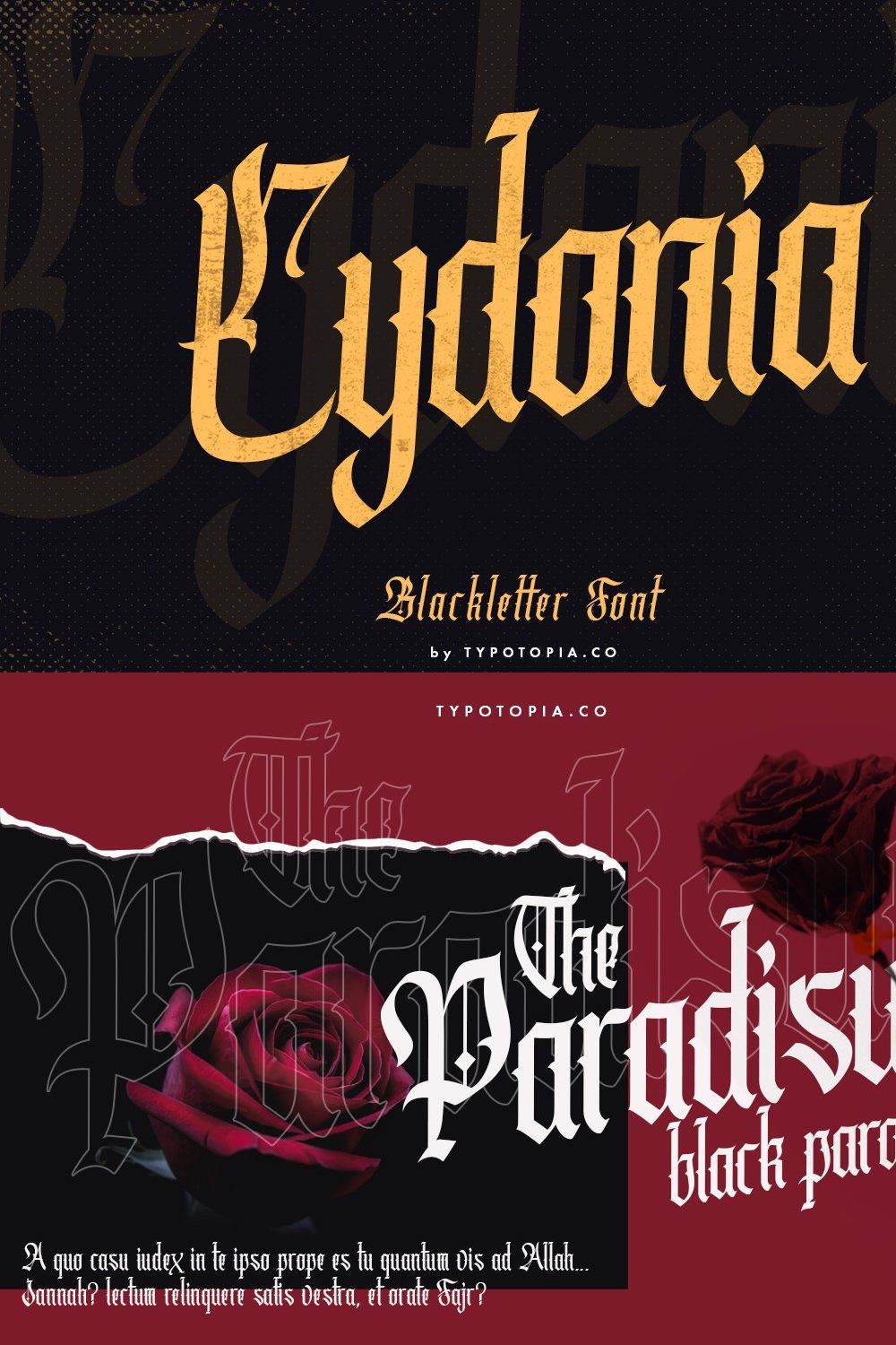 Cydonia - The Blackletter Font pinterest preview image.