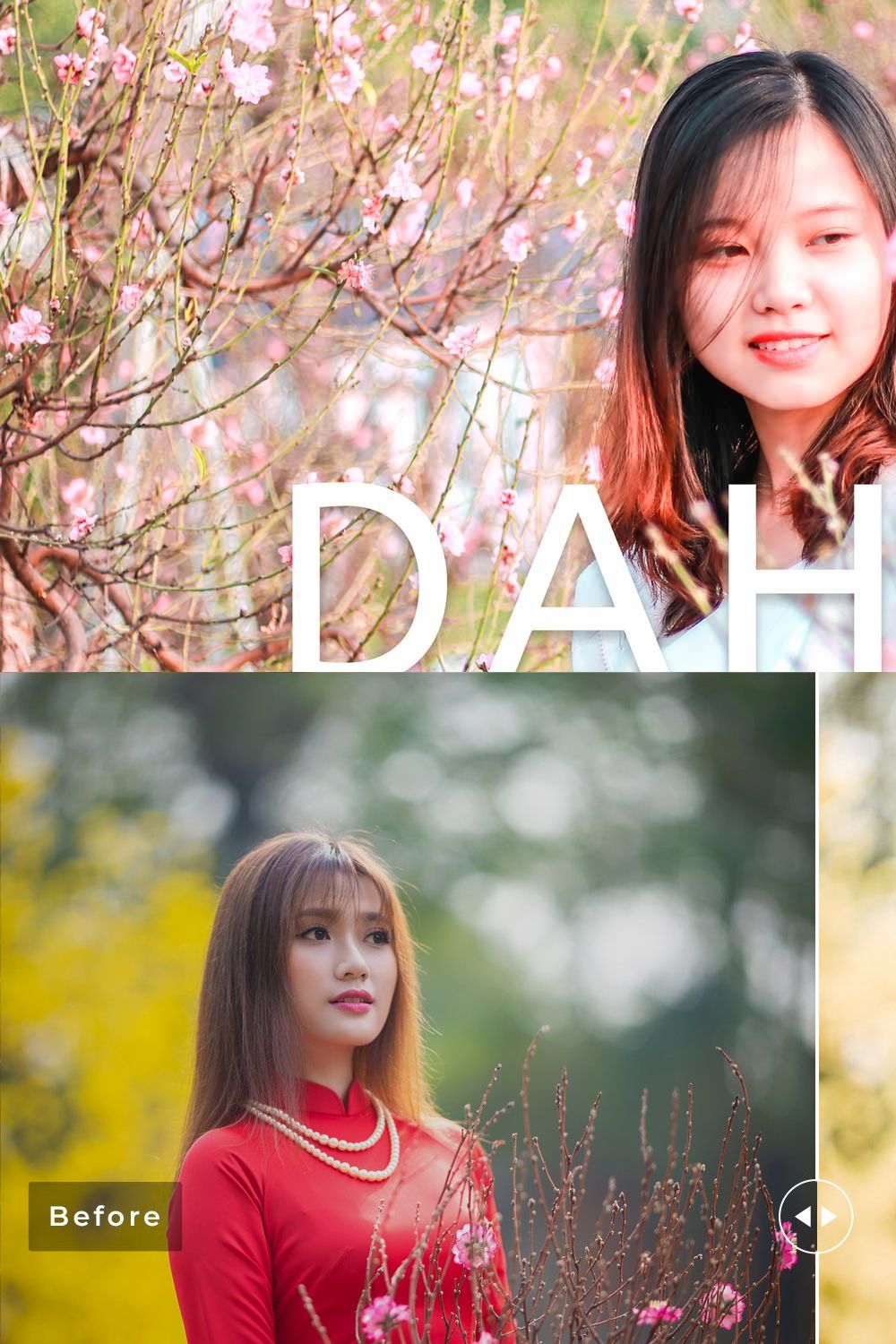 Dahlia Pro Lightroom Presets pinterest preview image.