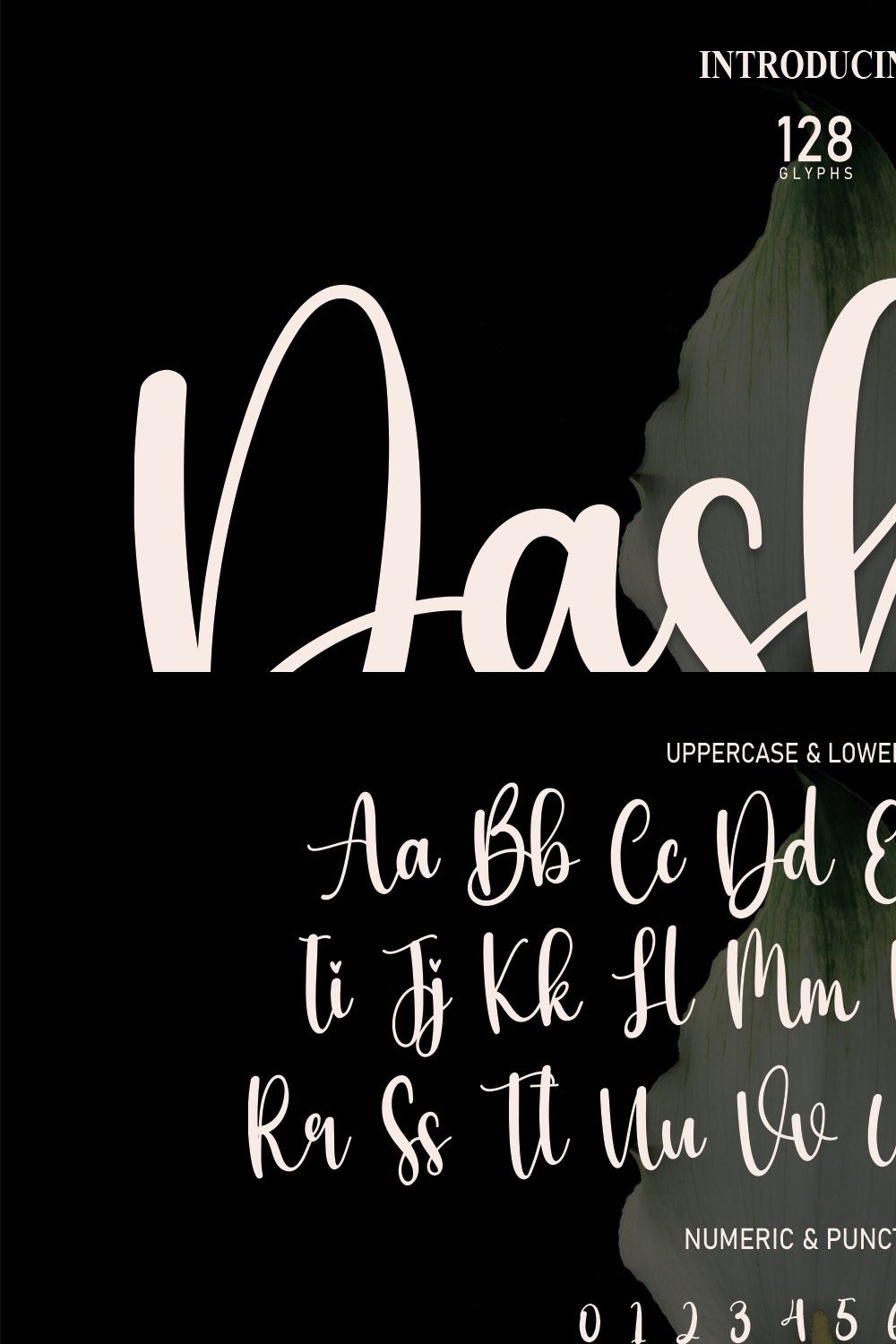 Dashing | Script Font pinterest preview image.