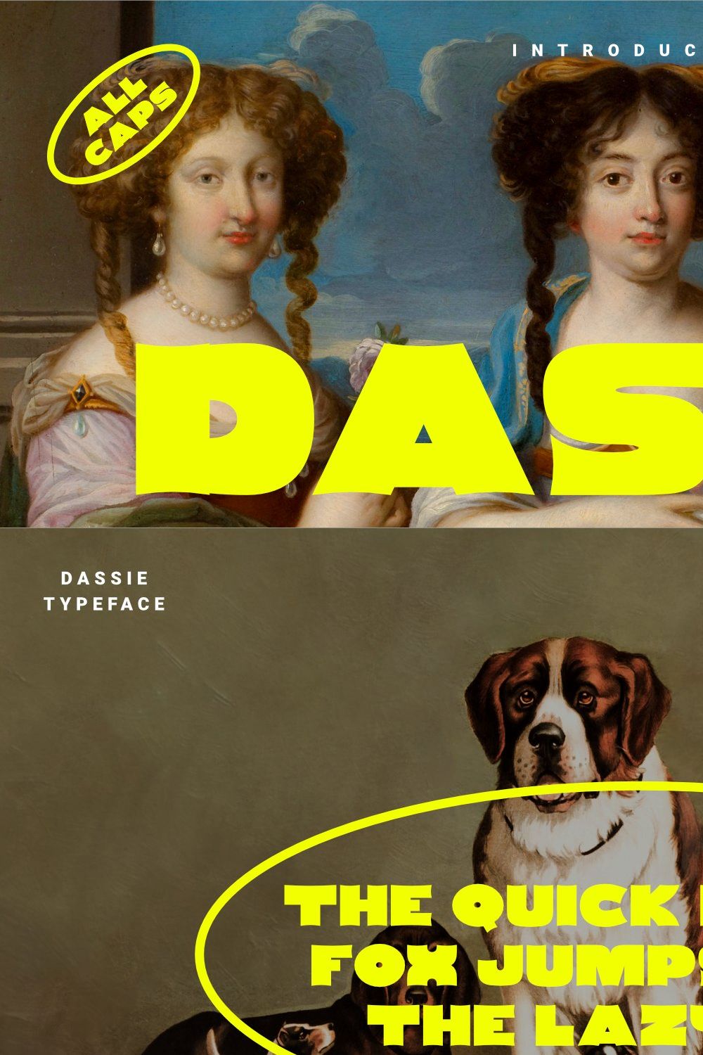 Dassie - Expanded Display Fonts pinterest preview image.