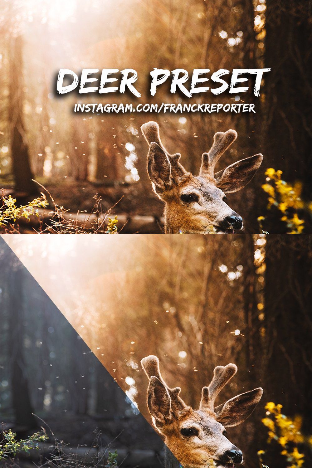 Deer pinterest preview image.