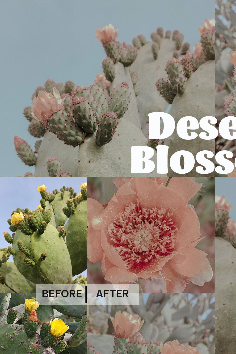 Desert Blossom - Lightroom Preset pinterest preview image.