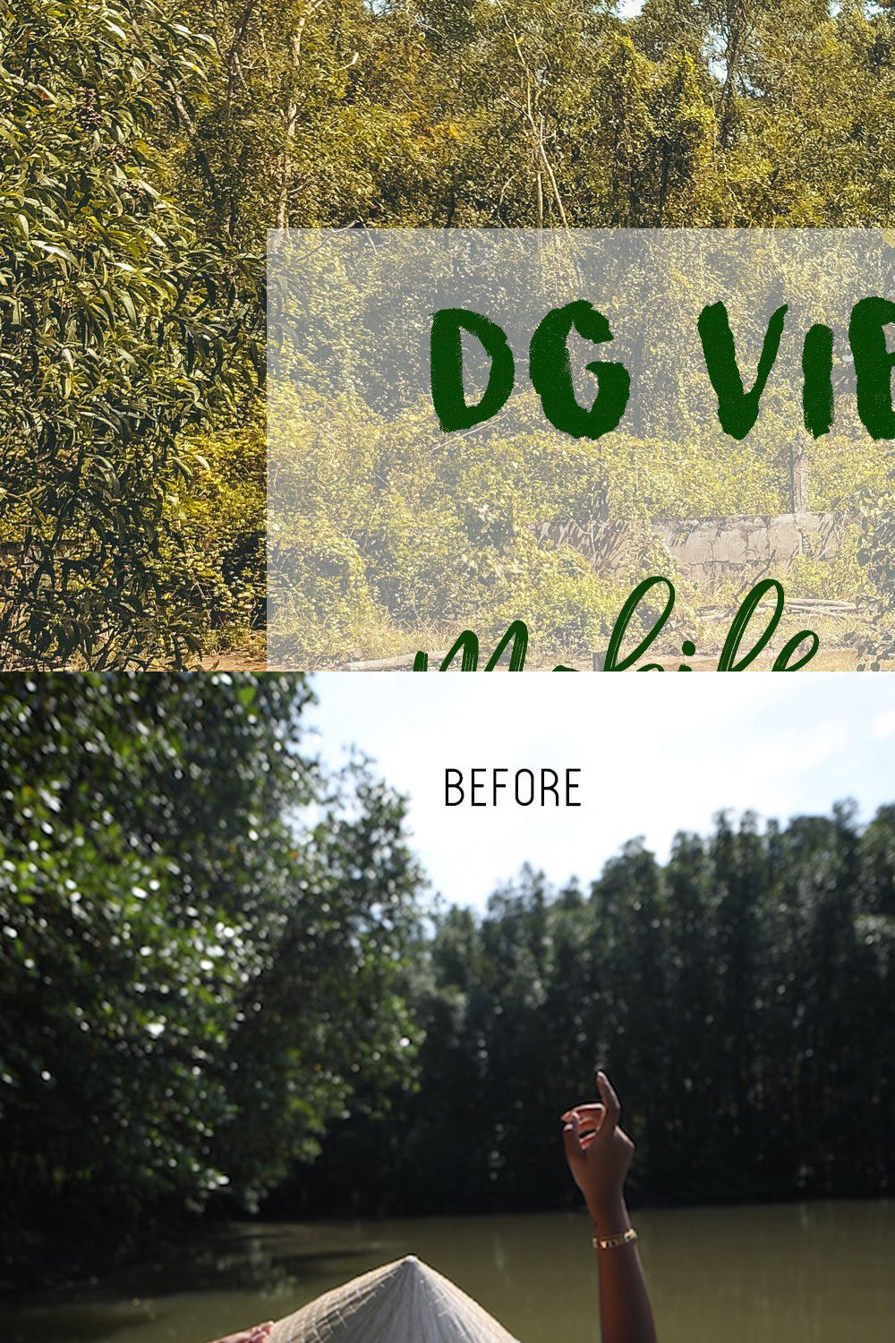 DG VIETNAM MOBILE PRESETS pinterest preview image.