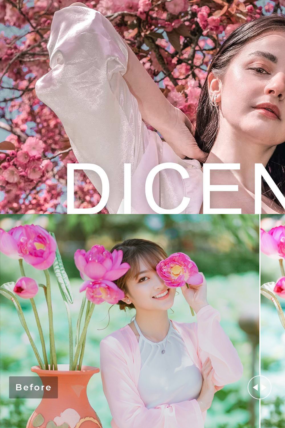 Dicentra Pro Lightroom Presets pinterest preview image.