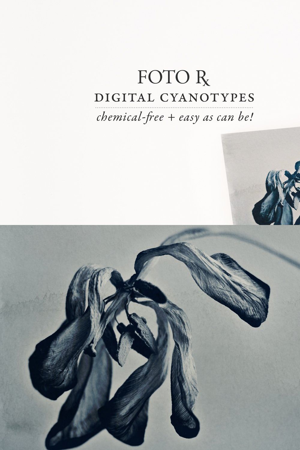 Digital Cyanotype Effect pinterest preview image.