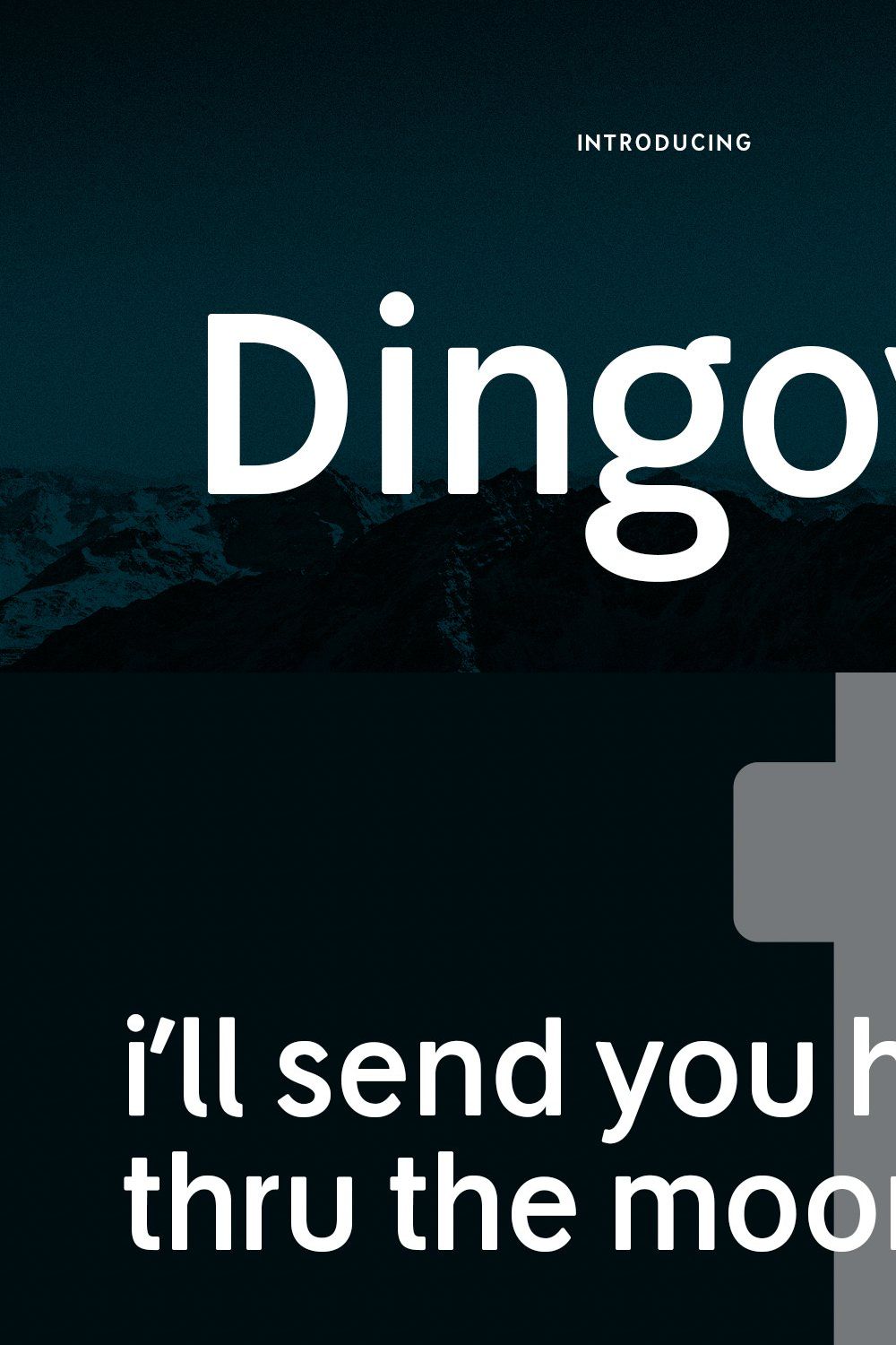 Dingoys Sans Font pinterest preview image.